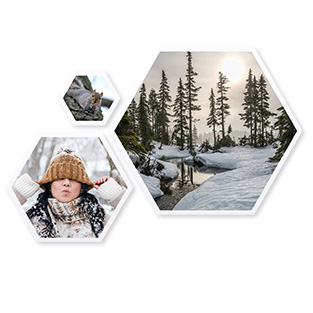 Hexagonale Fotokacheln mit individuellem Motiv, flexibel arrangierbar für eine einzigartige Bilderwand.
